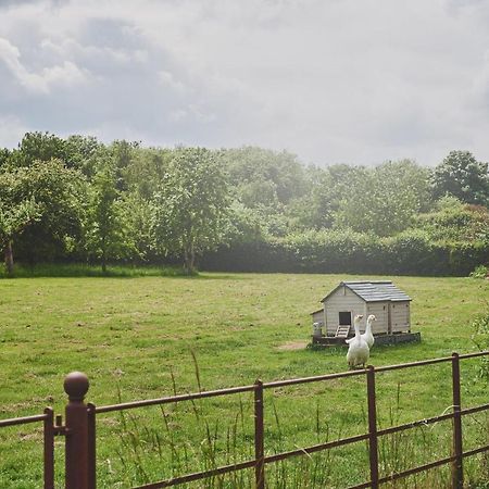 Apple Tree Cottage Beckford Kültér fotó