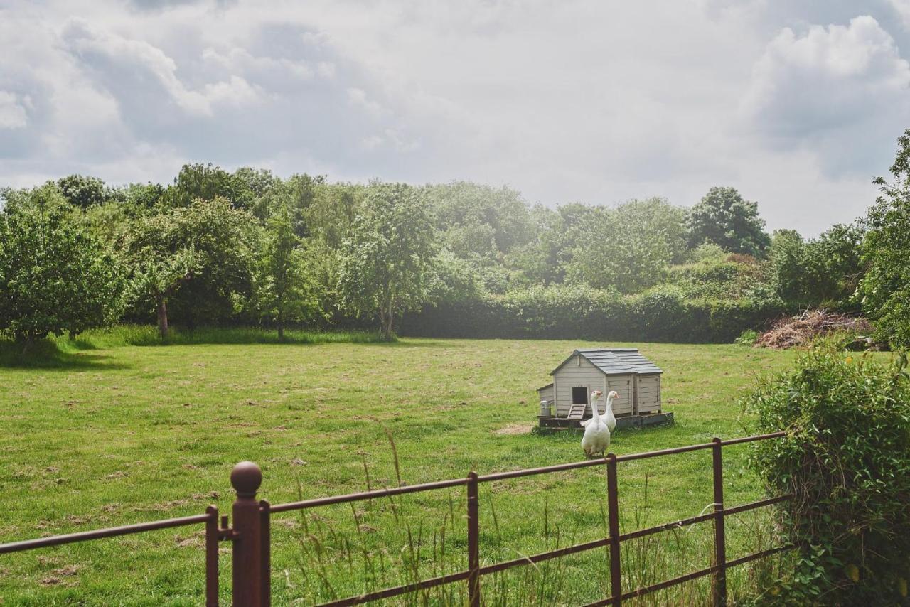 Apple Tree Cottage Beckford Kültér fotó